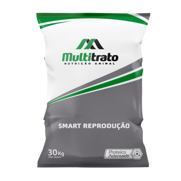 Smart Reprodução